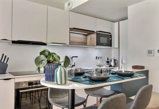 2 bedrooms with a terrace and view on the Eiffel Tower