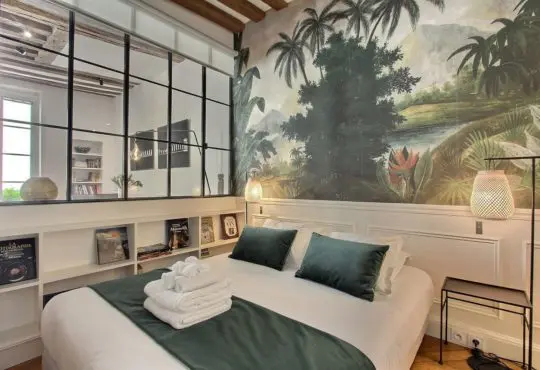 Beautiful air-conditioned 2-bedroom in Saint-Germain-des-Prés