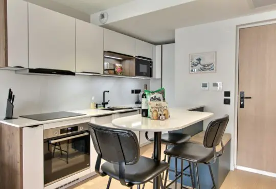 Appartement 1 chambre avec balcon et climatisation proche Tour Eiffel