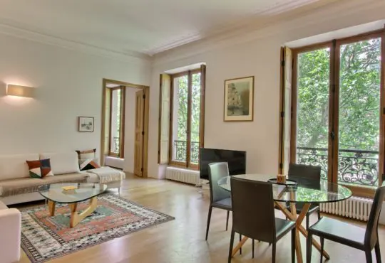 Furnished apartment Beautiful 2-bedroom close to Notre-Dame-de-Paris