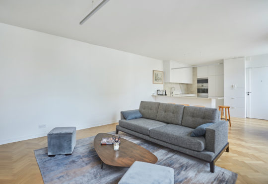 Brand new 1-bedroom in the heart of the Marais